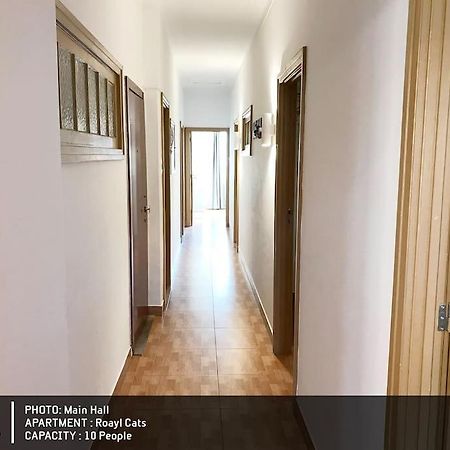 Royal Cats Apartment 波尔图 外观 照片