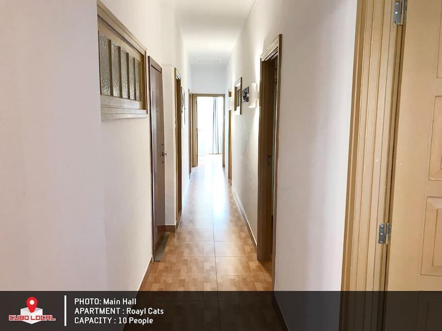 Royal Cats Apartment 波尔图 外观 照片