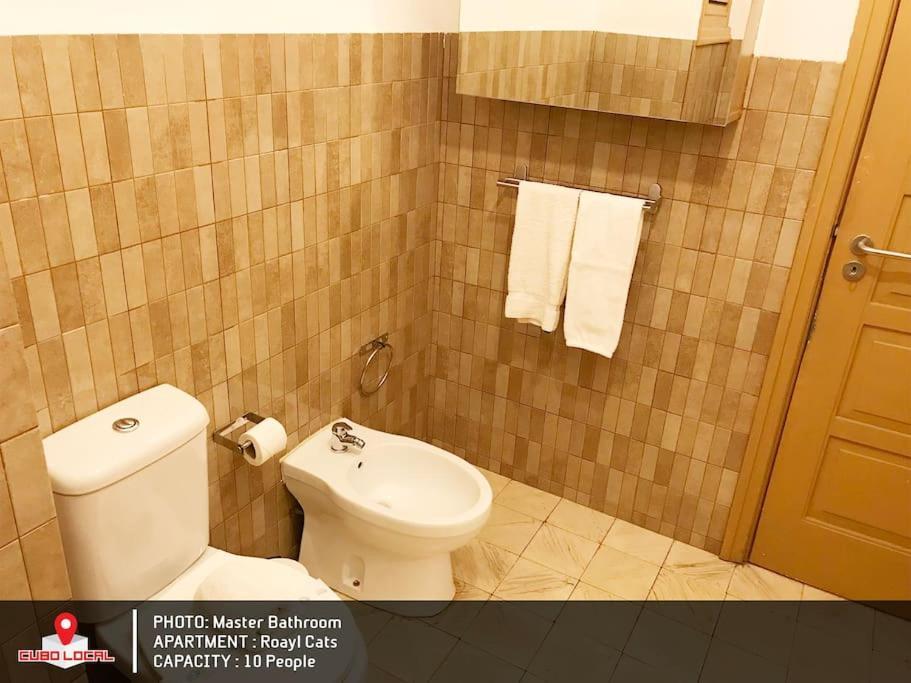 Royal Cats Apartment 波尔图 外观 照片