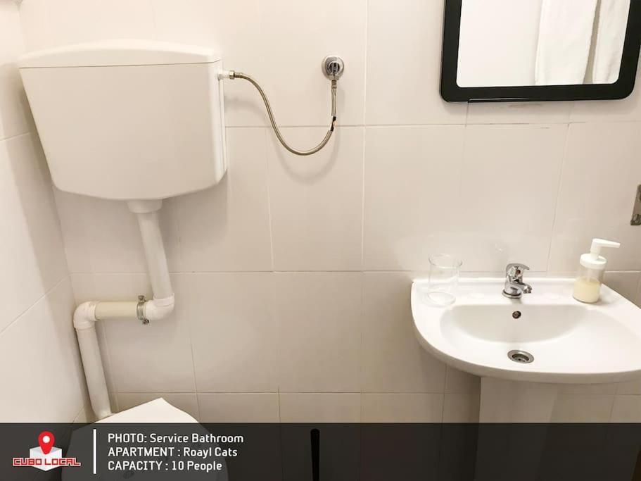 Royal Cats Apartment 波尔图 外观 照片